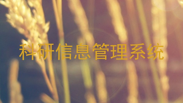 科研信息管理系统
