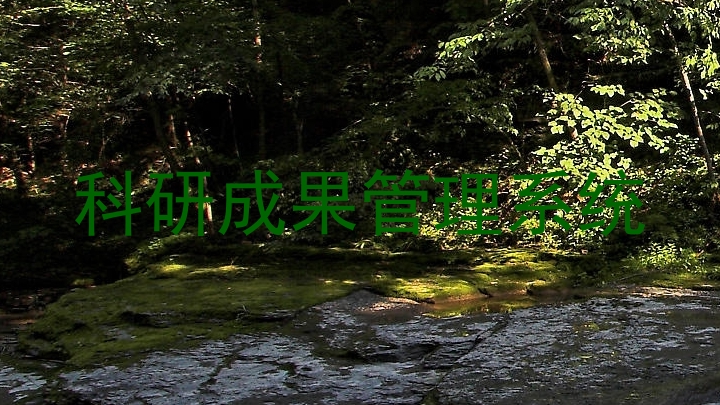 科研成果管理系统