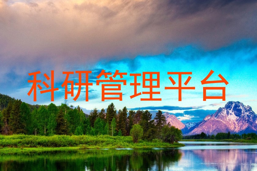科研管理平台