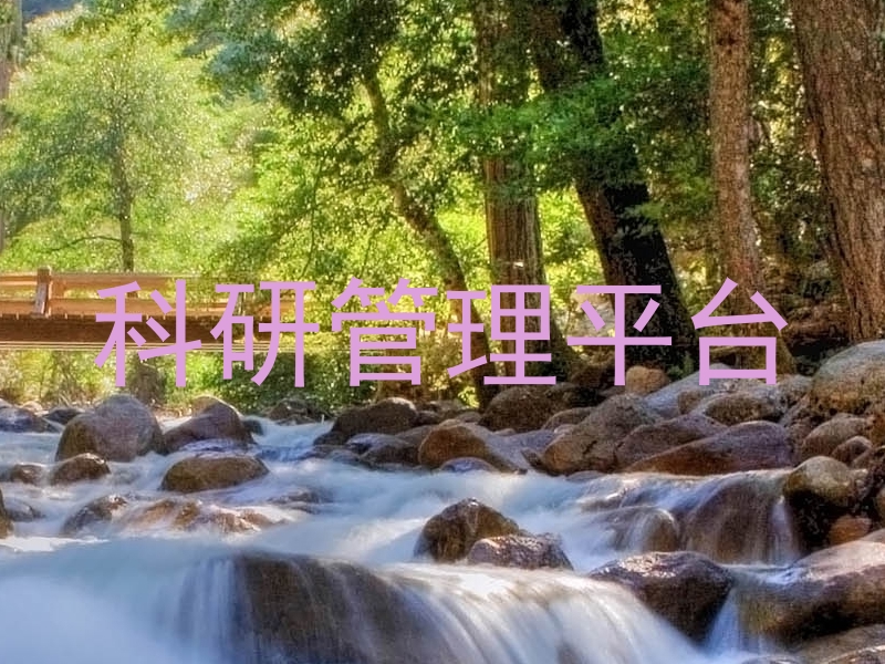 科研管理平台