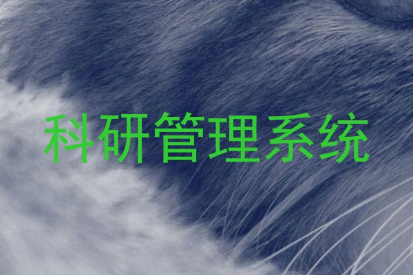 科研管理系统