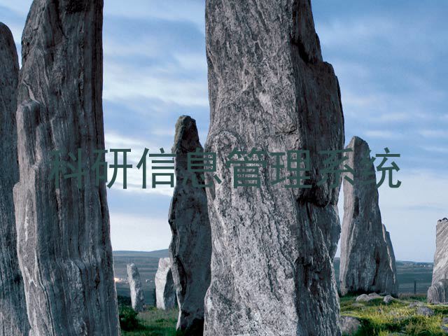 科研信息管理系统