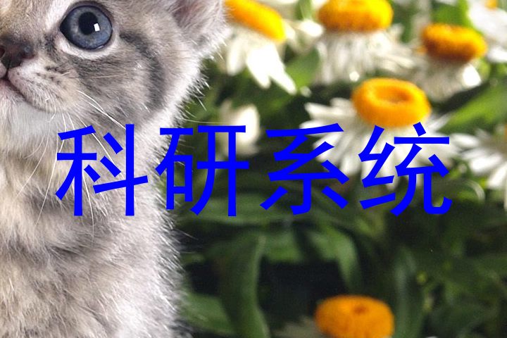 科研系统
