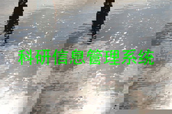 科研信息管理系统