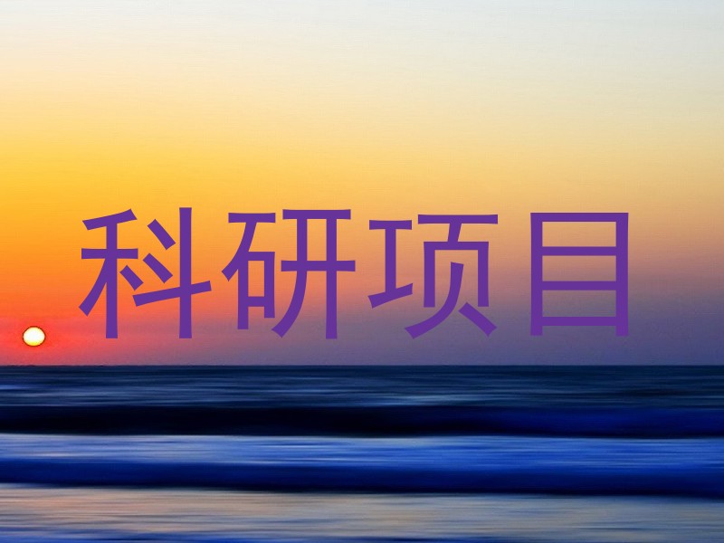 科研项目