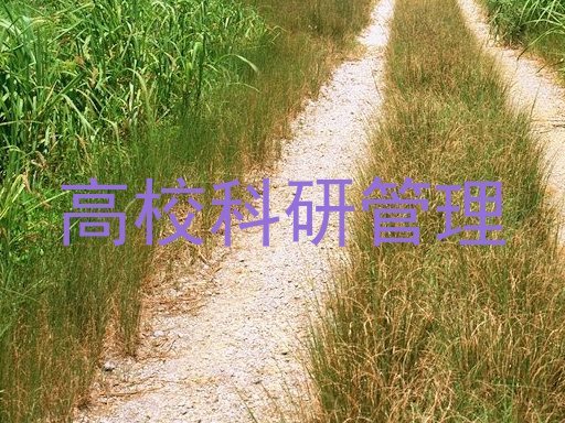 高校科研管理