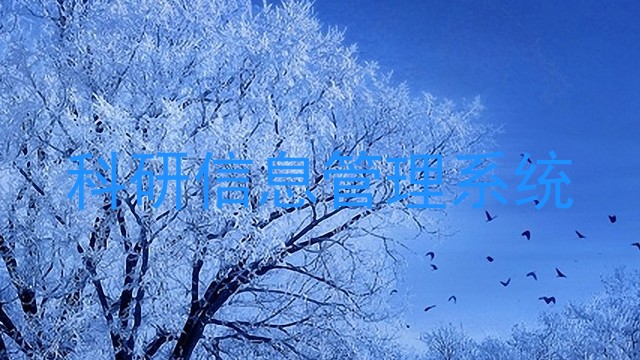 科研信息管理系统
