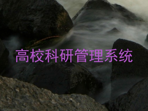 高校科研管理系统