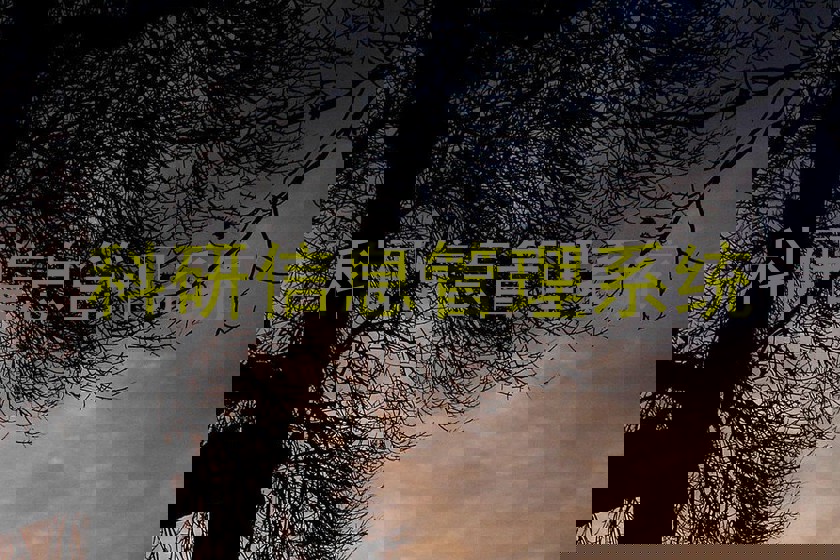 科研信息管理系统