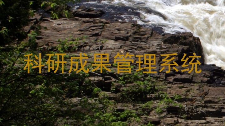 科研成果管理系统