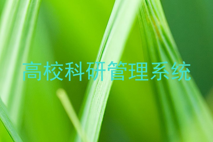 高校科研管理系统