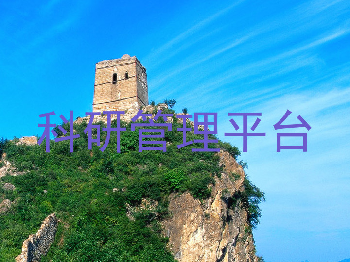 科研管理平台