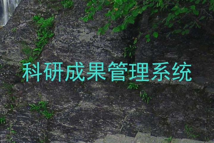 科研成果管理系统