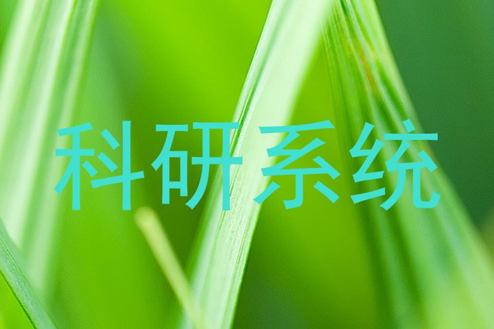 科研系统