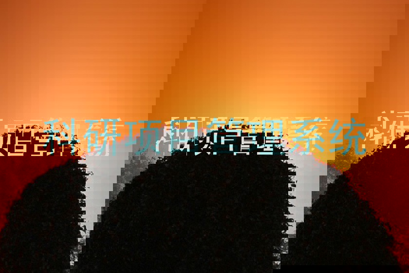 科研项目管理系统