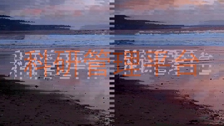 科研管理平台