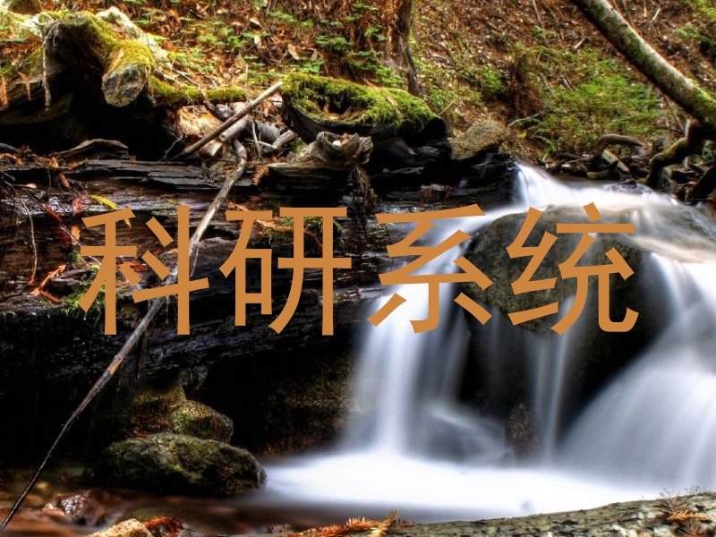 科研系统