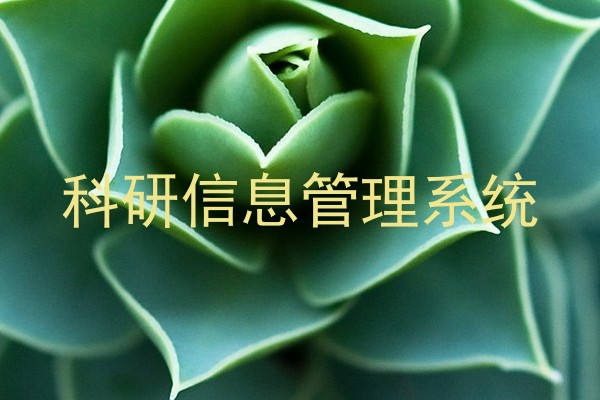 科研信息管理系统