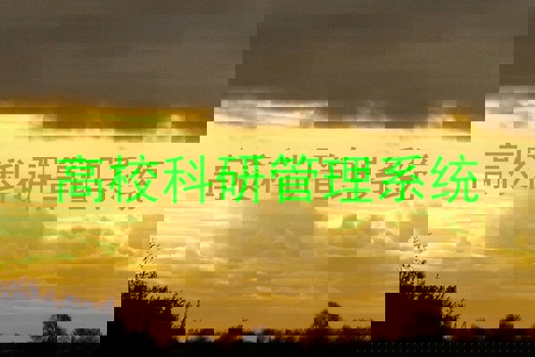 高校科研管理系统