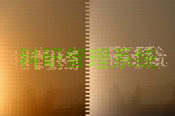科研管理系统