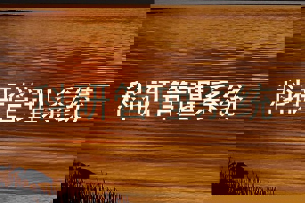 科研管理系统
