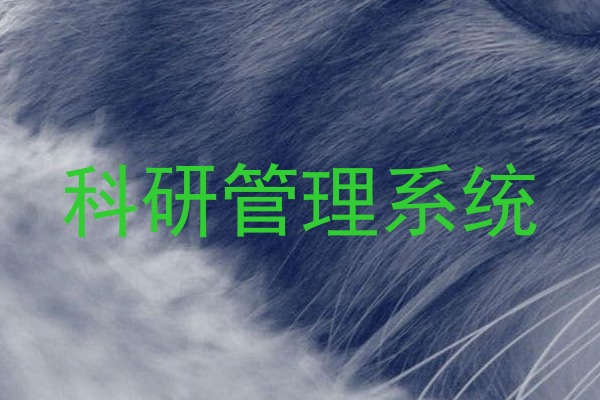 科研管理系统