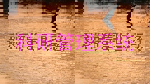 科研管理系统