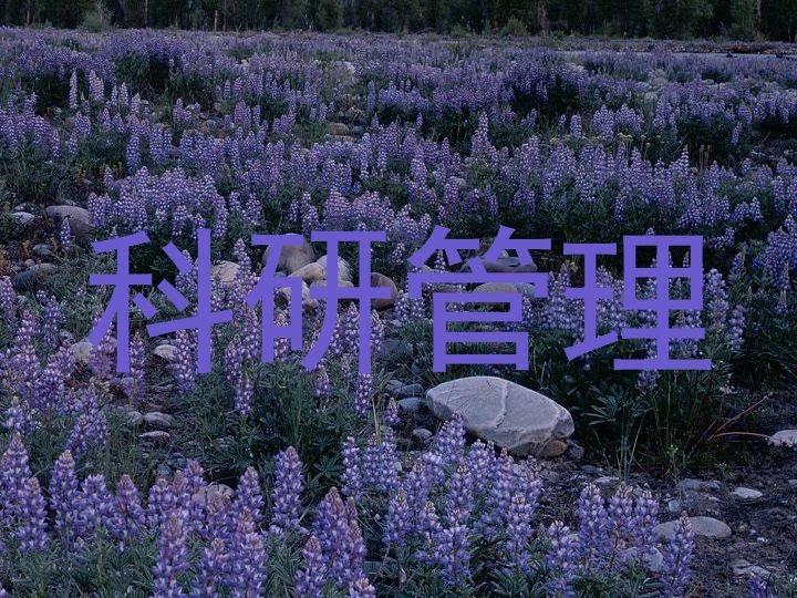 科研管理