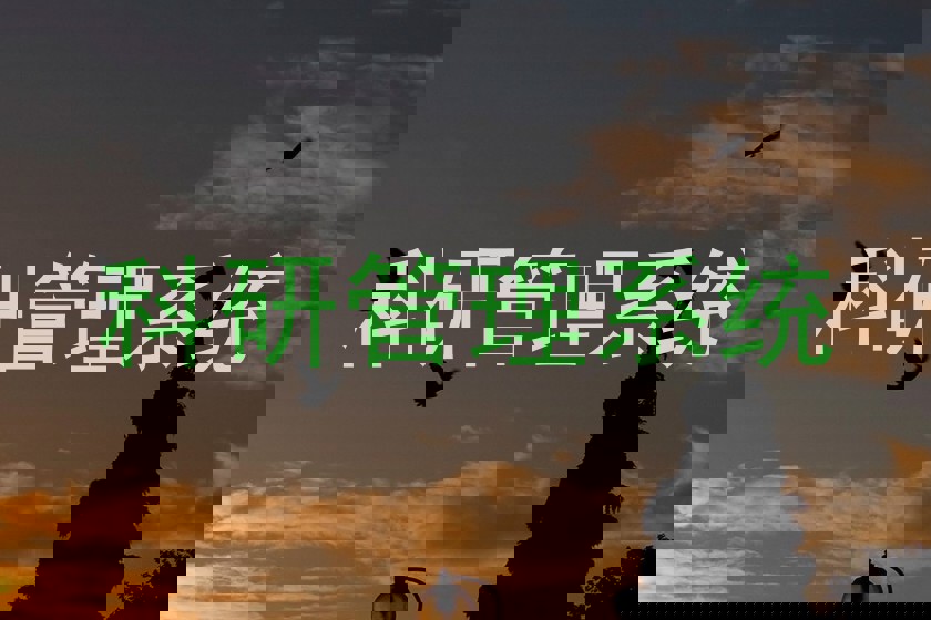 科研管理系统
