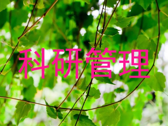 科研管理