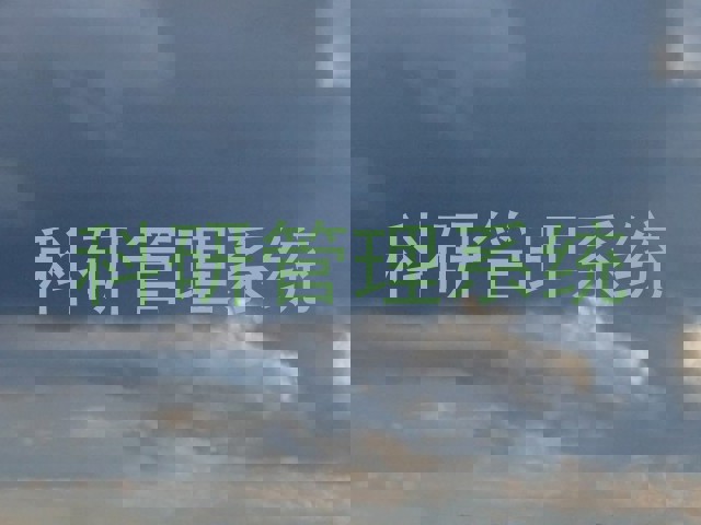 科研管理系统