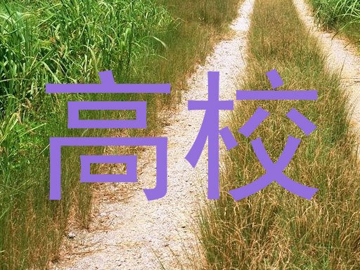 高校