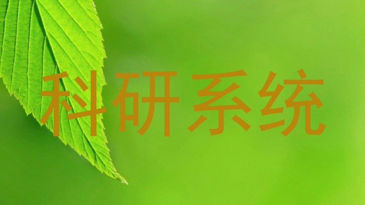 科研系统
