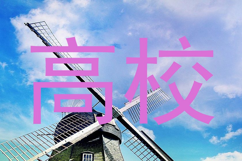 高校