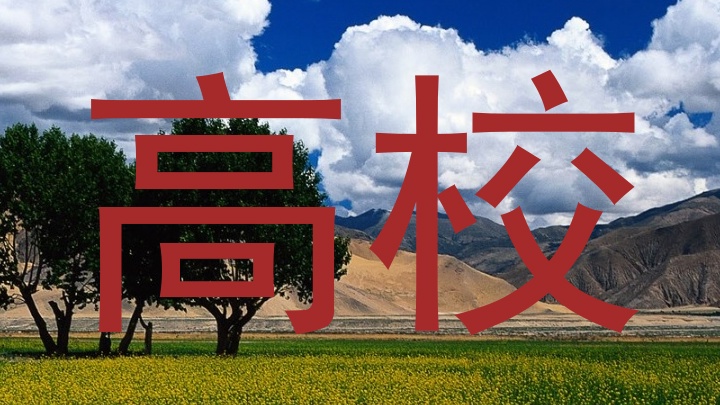 高校