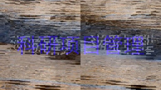 科研项目管理