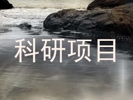 科研项目
