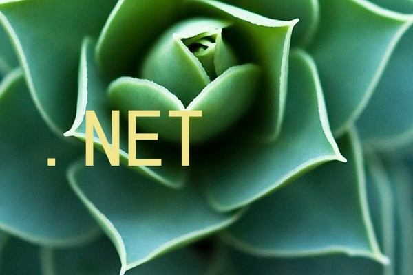 .NET