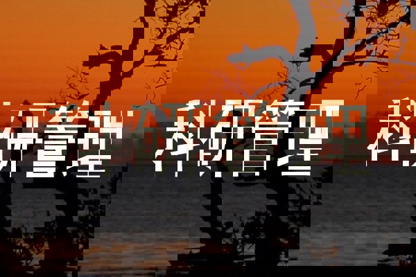 科研管理