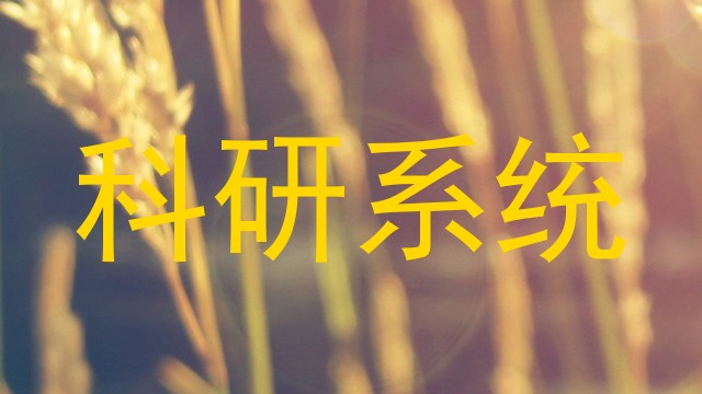 科研系统