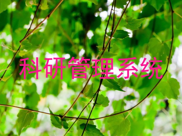 科研管理