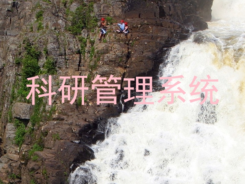 科研管理系统