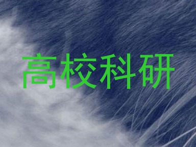 高校科研
