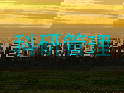 科研管理
