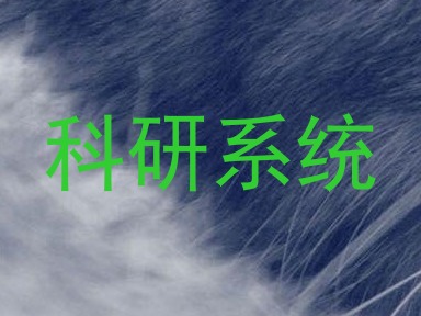 科研系统