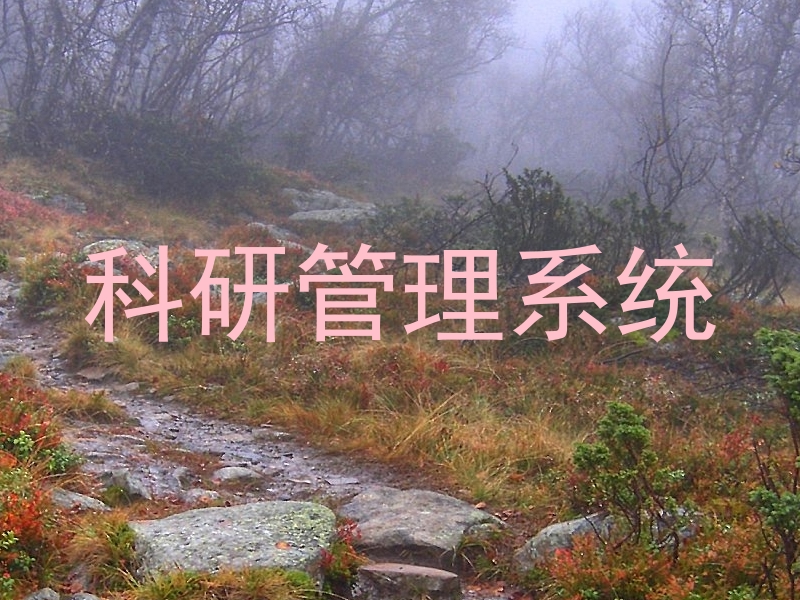 科研管理系统