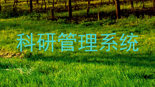 科研管理系统