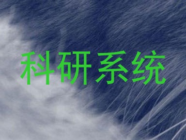 科研系统