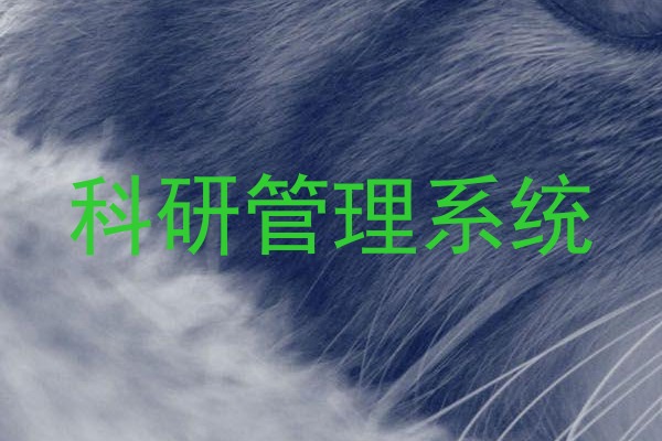 科研管理系统