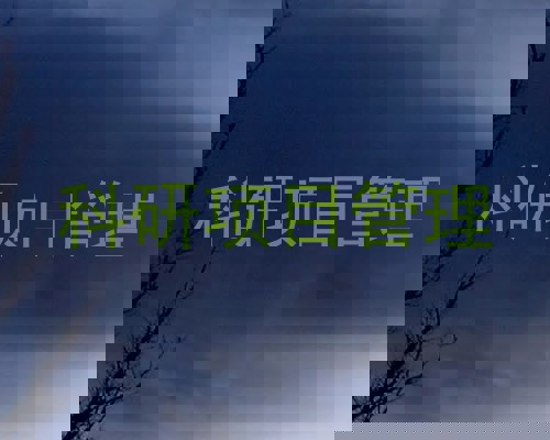 科研项目管理